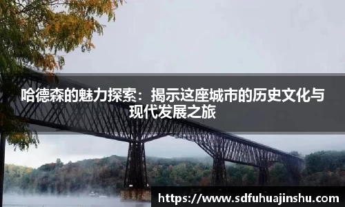 哈德森的魅力探索：揭示这座城市的历史文化与现代发展之旅